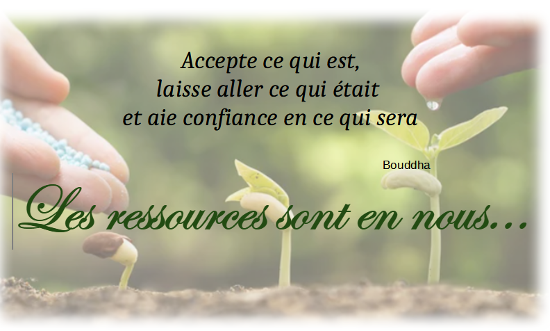 citation de boudhha: accepte ce qui est, laisse aller ce qui était et aie confiance en cequi sera